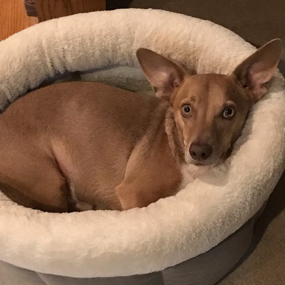 THANK YOU FOR SHOPPING ON POSHMARK! - Picture 12 of 13